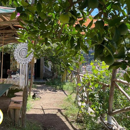 Cetara Camping Amalfitan Coast 호텔 외부 사진