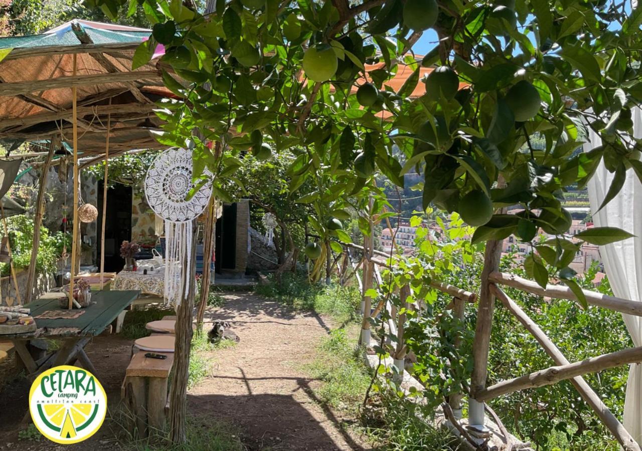 Cetara Camping Amalfitan Coast 호텔 외부 사진